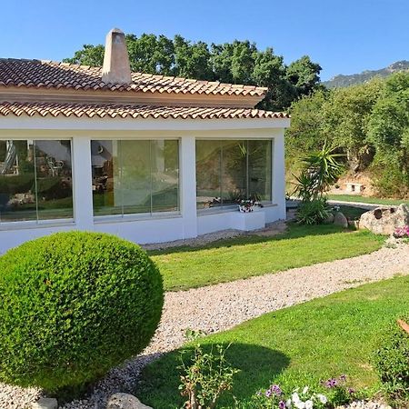 B&B La Chintina Sant'Antonio di Gallura Exteriér fotografie
