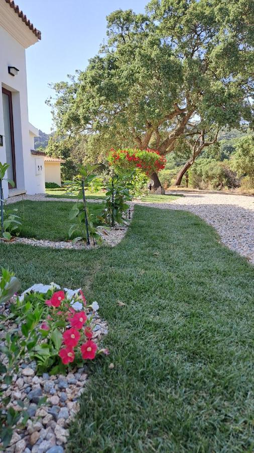 B&B La Chintina Sant'Antonio di Gallura Exteriér fotografie