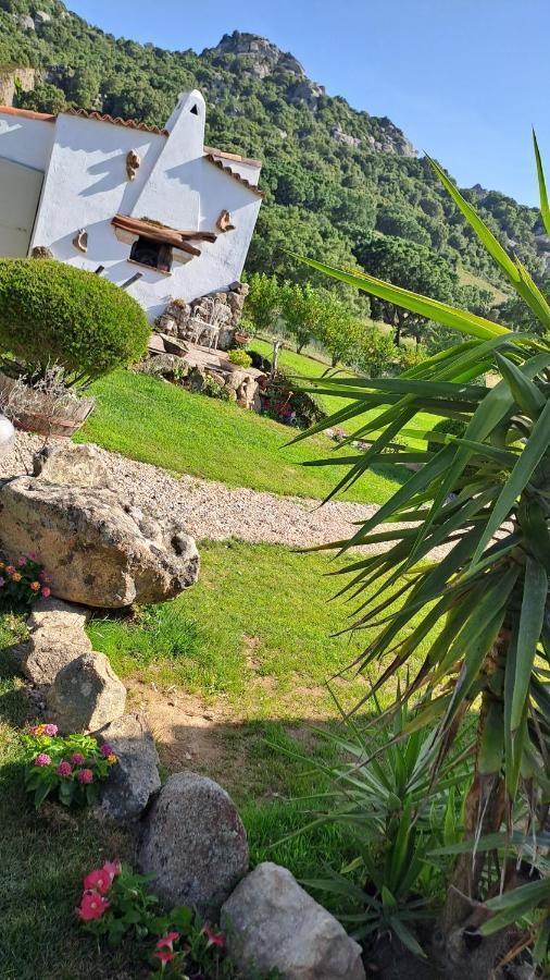 B&B La Chintina Sant'Antonio di Gallura Exteriér fotografie