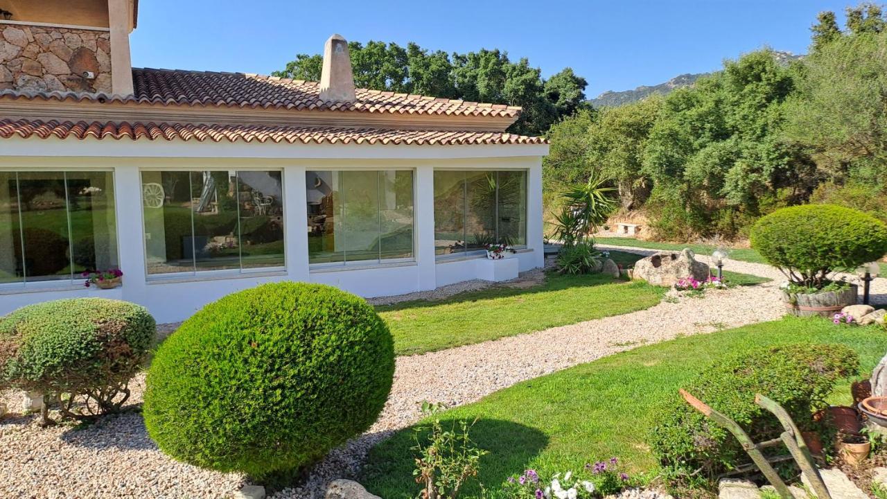 B&B La Chintina Sant'Antonio di Gallura Exteriér fotografie
